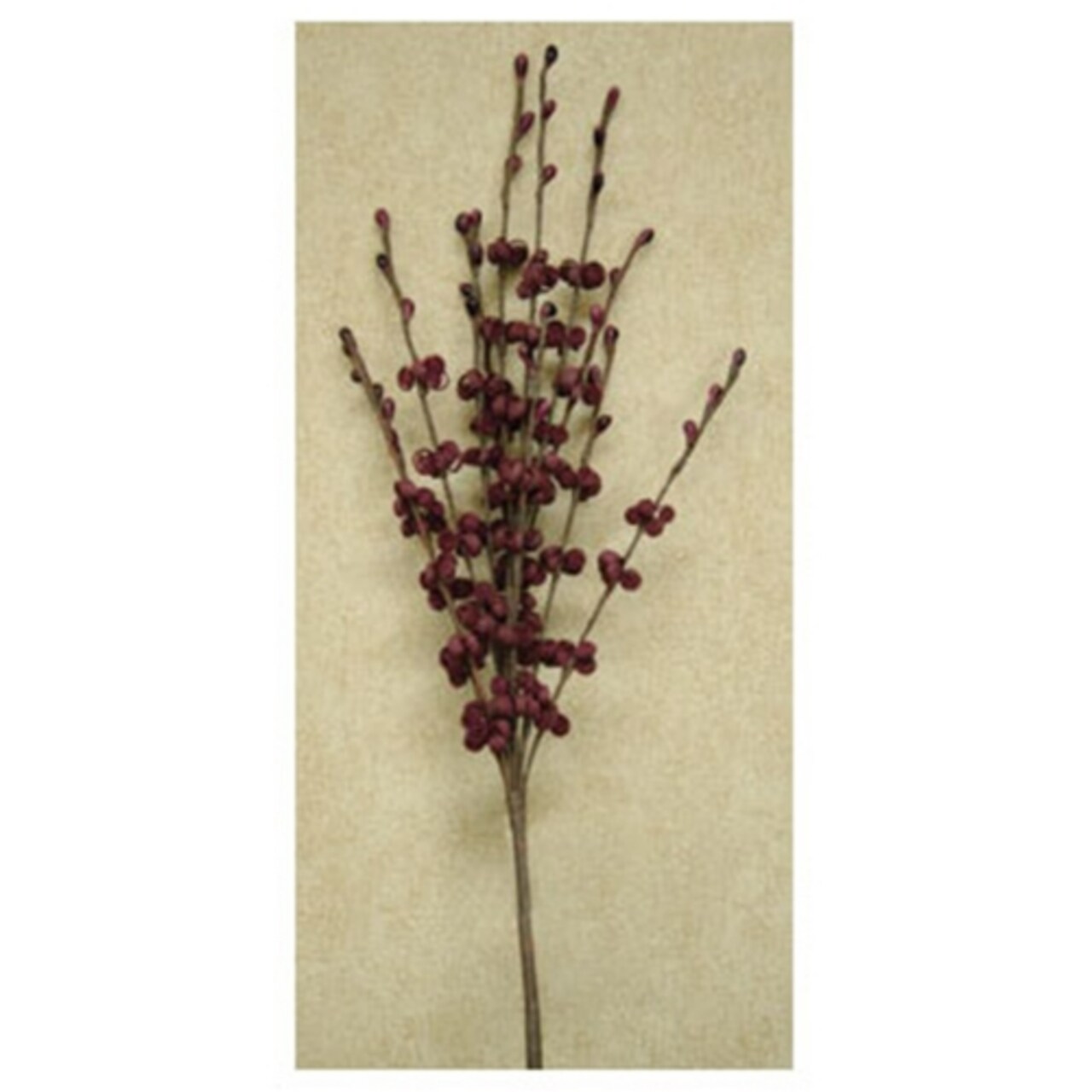 Burgundy Foam Curly Q Pick and Decorative Spiral, Floral Stem, 12inches